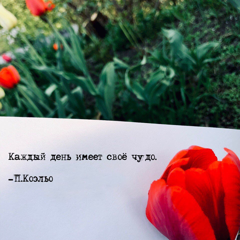 Каждый день имеет своё чудо. П.Коэлью.