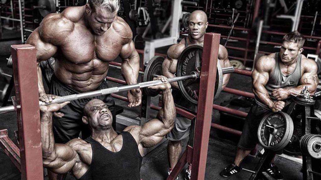 Джэй Катлер и его "банда". Pixabay.com