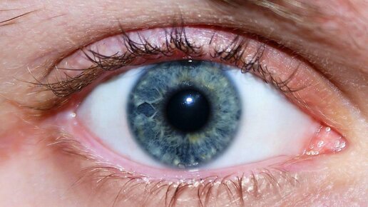 Правильное питание