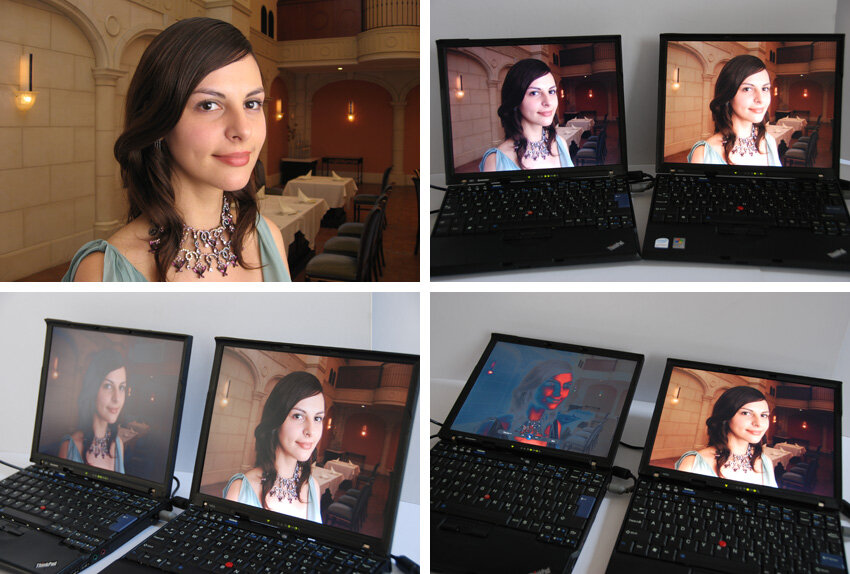 TN vs IPS (GamersNexus.com)