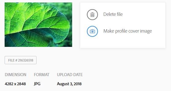 первая фотография ,которую я загрузила на продажу