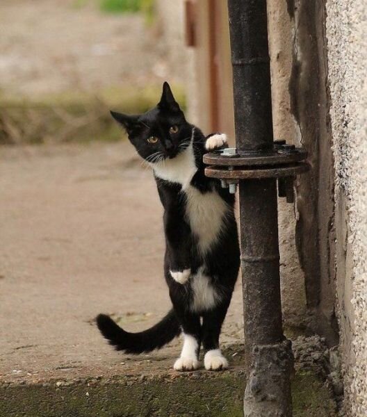 Это я так смотрю за угол, за которым мое будущее