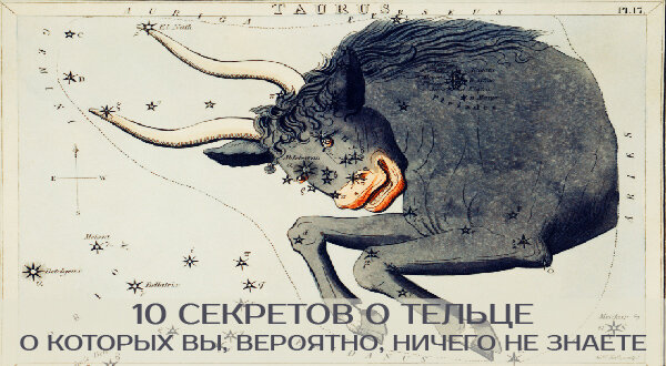 10 секретов о Тельце, о которых вы, вероятно, ничего не знаете