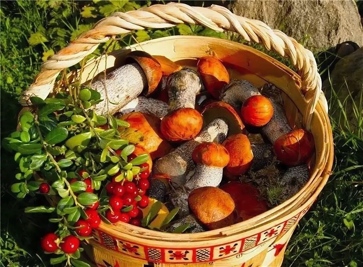 Осенние грибочки и ягодки радуют глаз