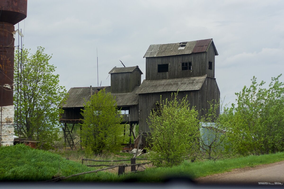 Древний город Васильсурск, священная марийская роща и Нью-Васюки