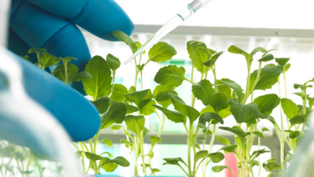 Фото:res.cloudinary.com
