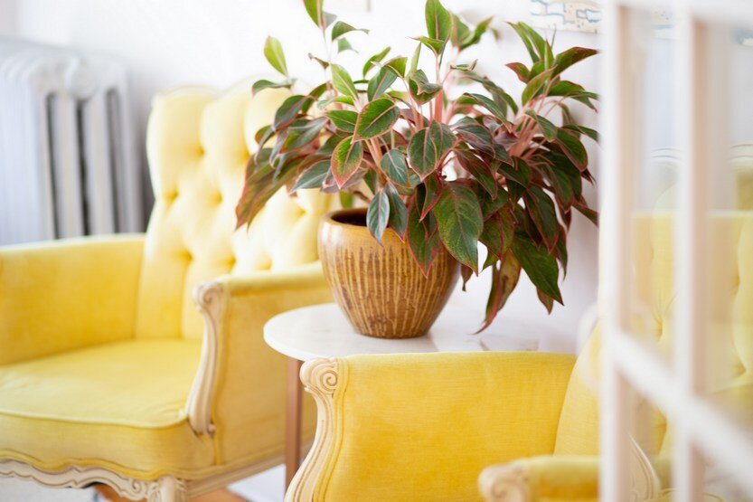 Источник фото: profengshui.ru