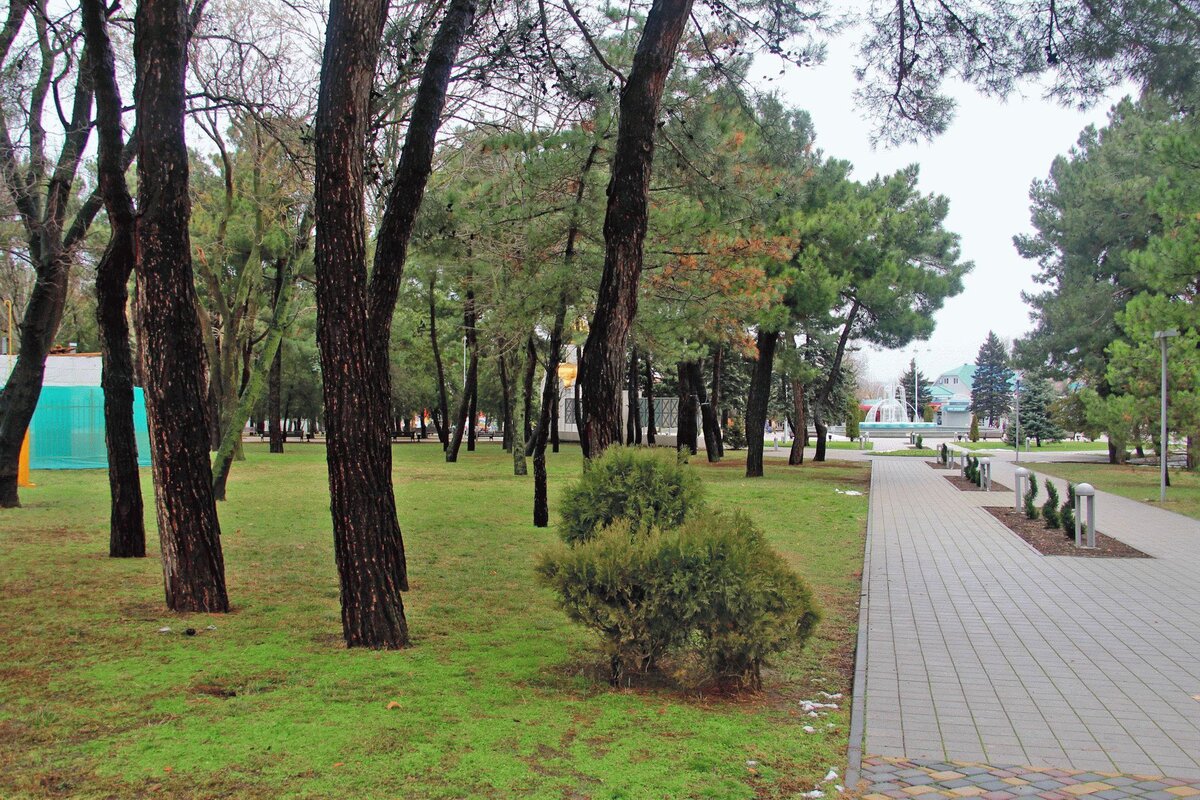 Анапа зимой, источник: anapacity.com