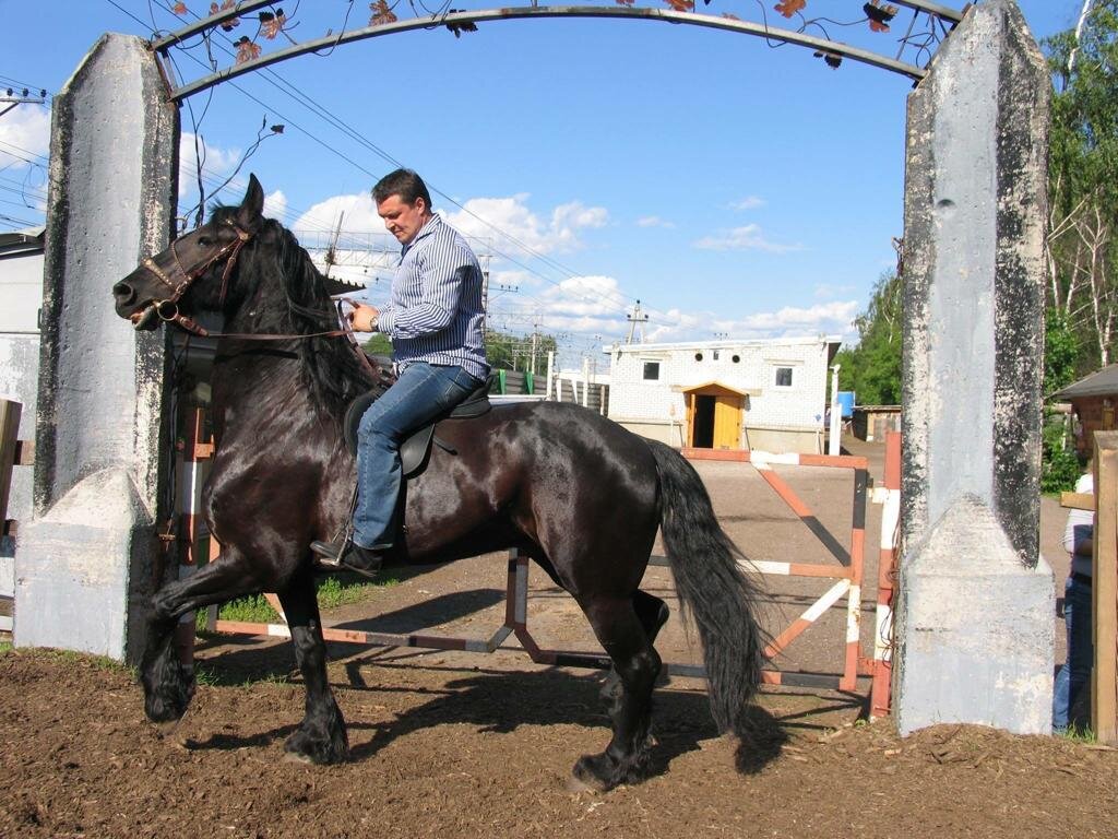 Кличка любимого коня александра македонского