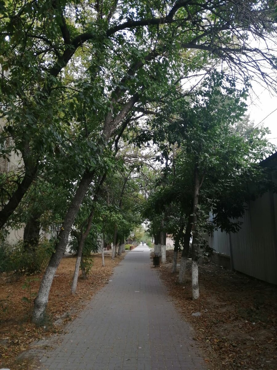 Наша осень!