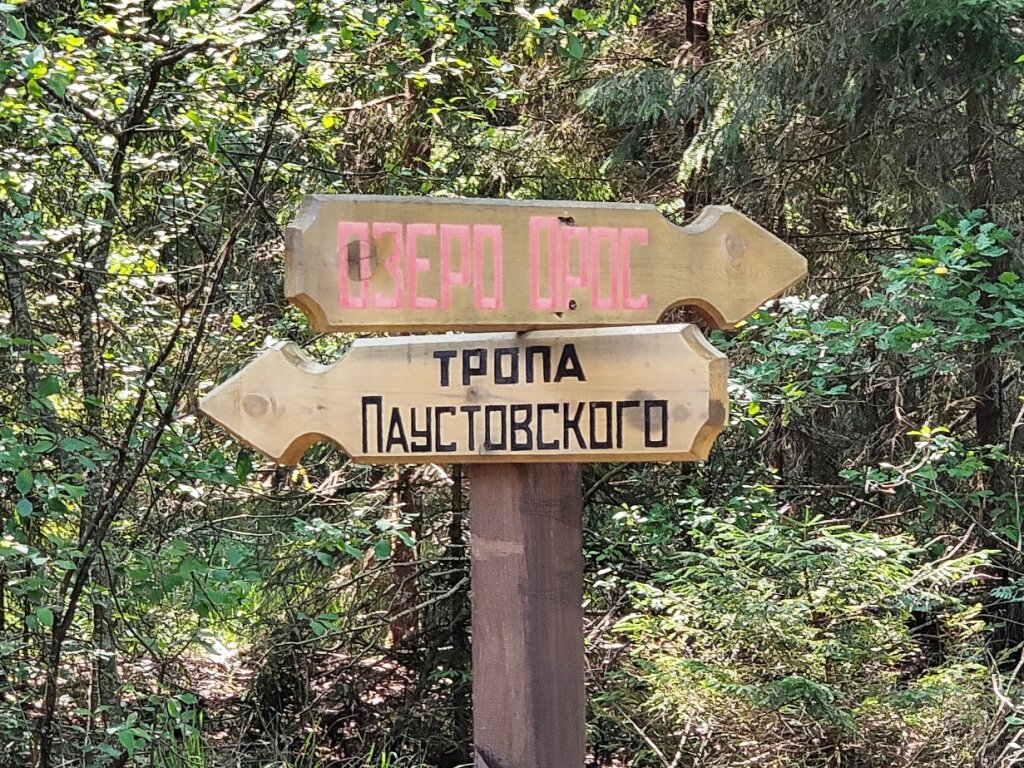 Тропа паустовского рязань район солотча фото