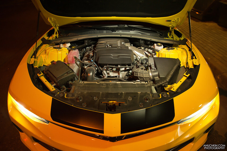 Полный размер
