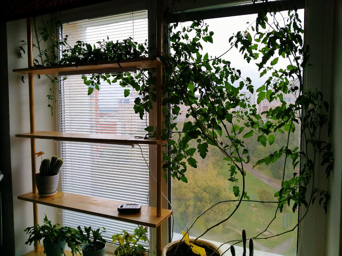 Это они сейчас такие.