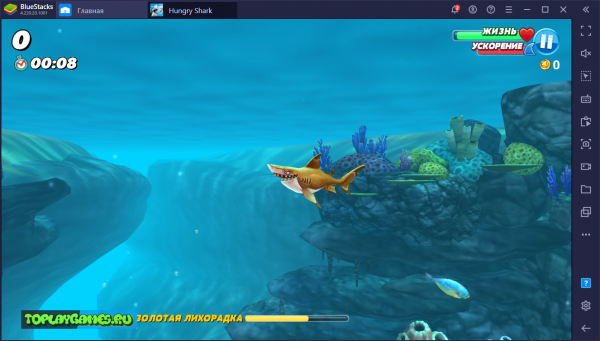 
По мере прохождения Мир Голодных Акул геймеру открываются новые виды  акул разных размеров с уникальным внешним видом и своими особенностями. В  океанах и морях вас ждут разные уровни заданий с секретами и скрытыми  предметами (боссы, письма, сундуки). Устрой в морском царстве настоящий  переполох и покажи свою акулью мощь.