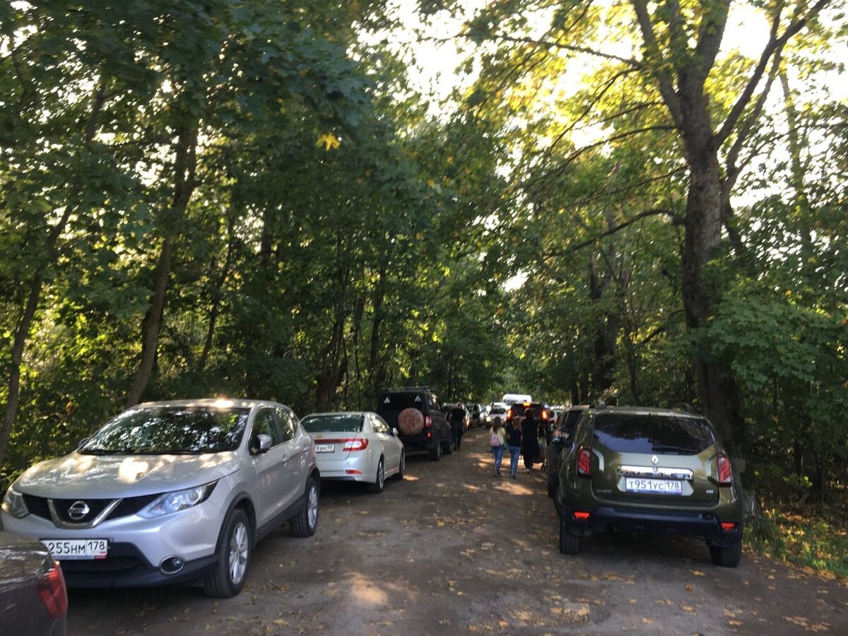 Пробираемся в заказник мимо припаркованных машин.