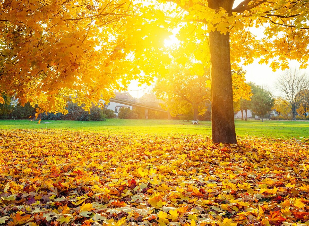 Изображение из открытых источников