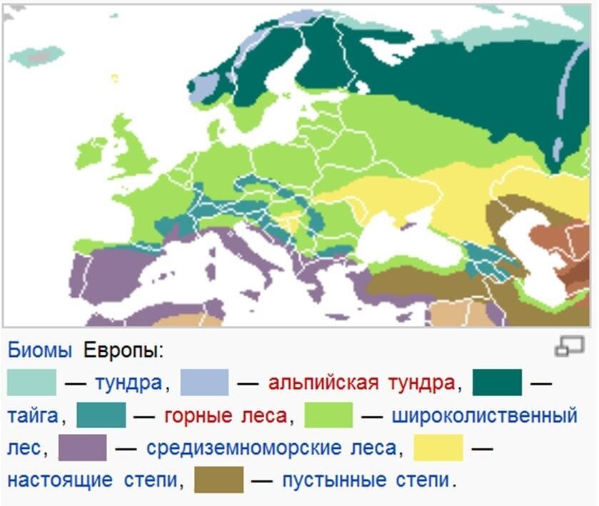 Заполните таблицу характеристики биомов тундра тайга