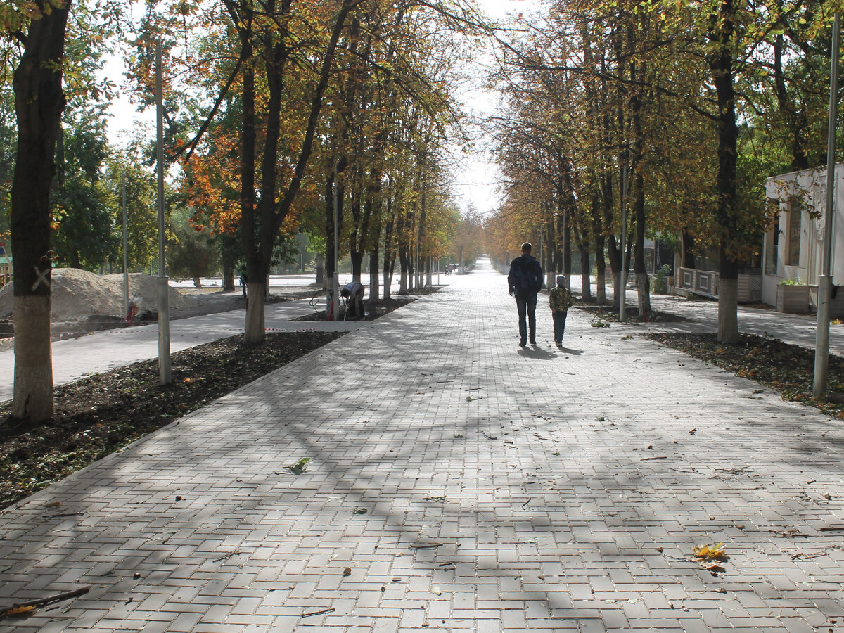 парк в г шахты