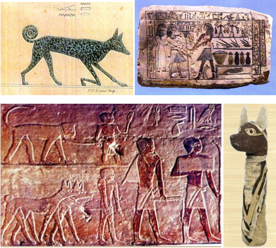 Мои миллионы раз "пра" родители