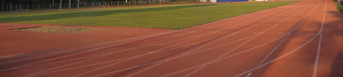 Дорожка для скоростной работы