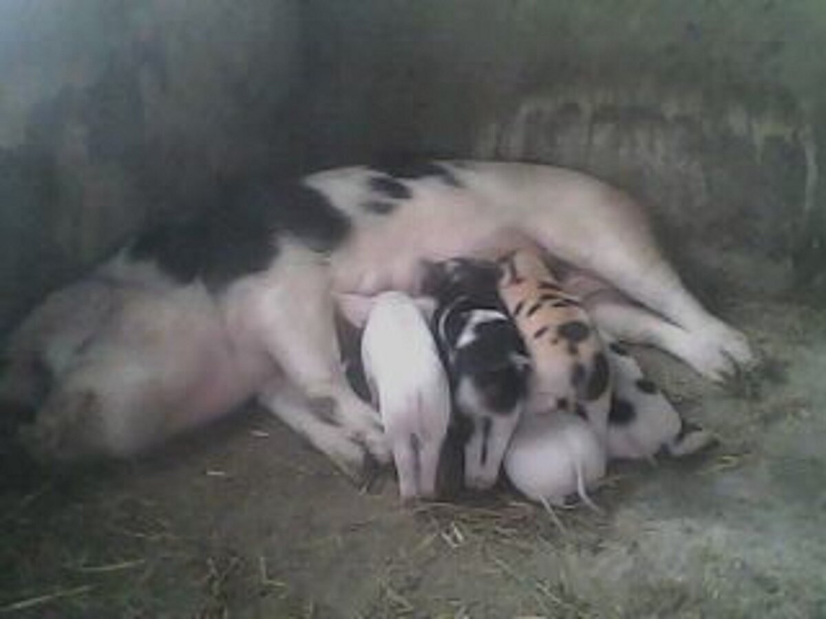 Фото автора из личного архива.