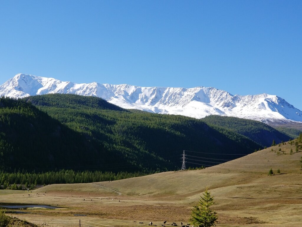 Курайская степь Алтай