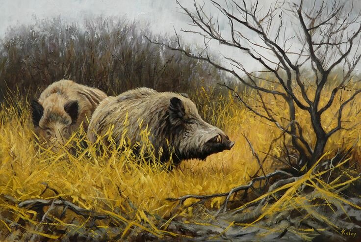 Картинка из интернета. 