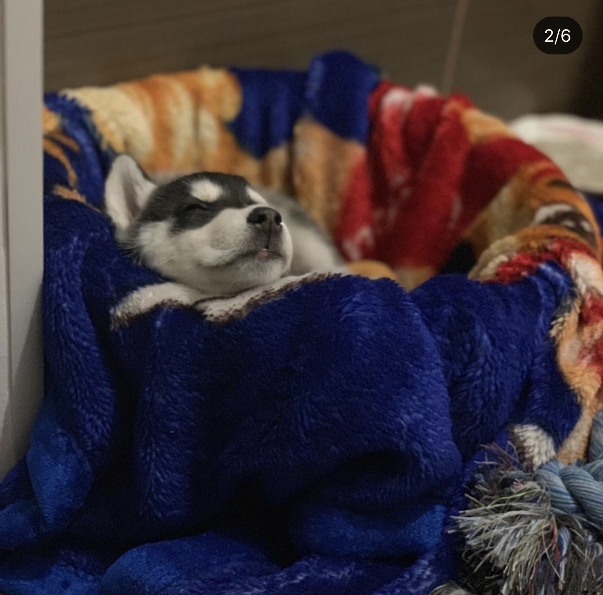 маленький ангелочек