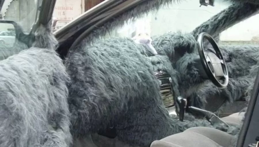 Блохи, клопы и моль...