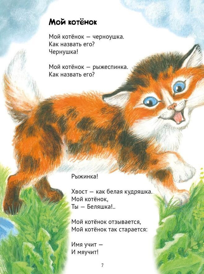 Песня жили котята