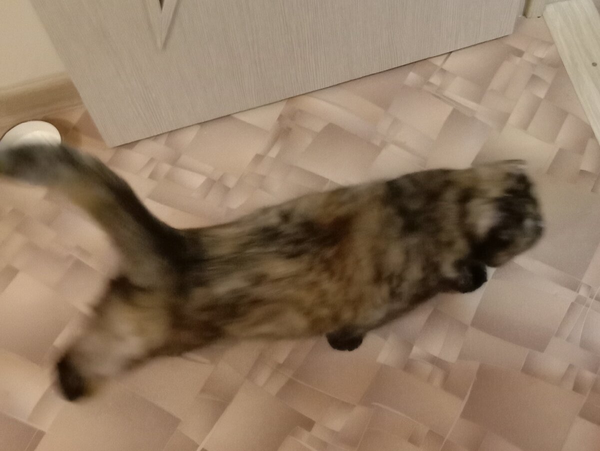 Фу, дрянь какую-то ешь