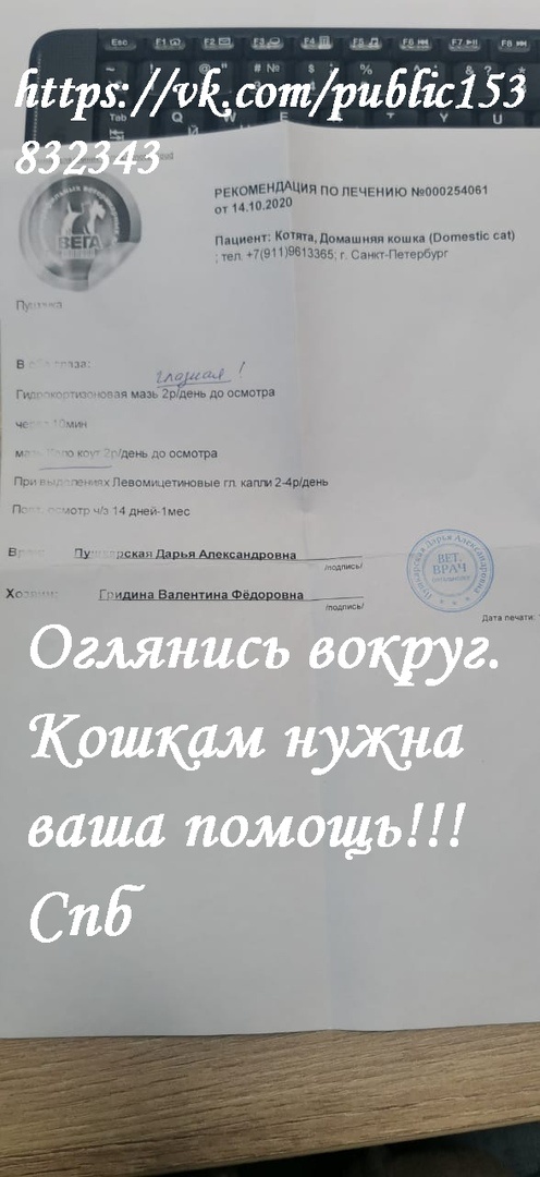 Назначение после снятия линз