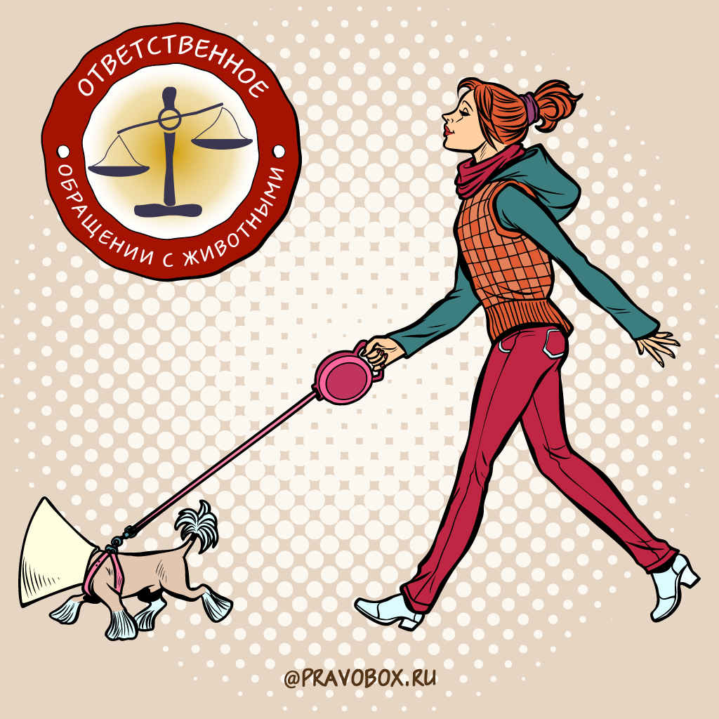 Иллюстрация к статье: «За жестокое обращение с животными придется отвечать»