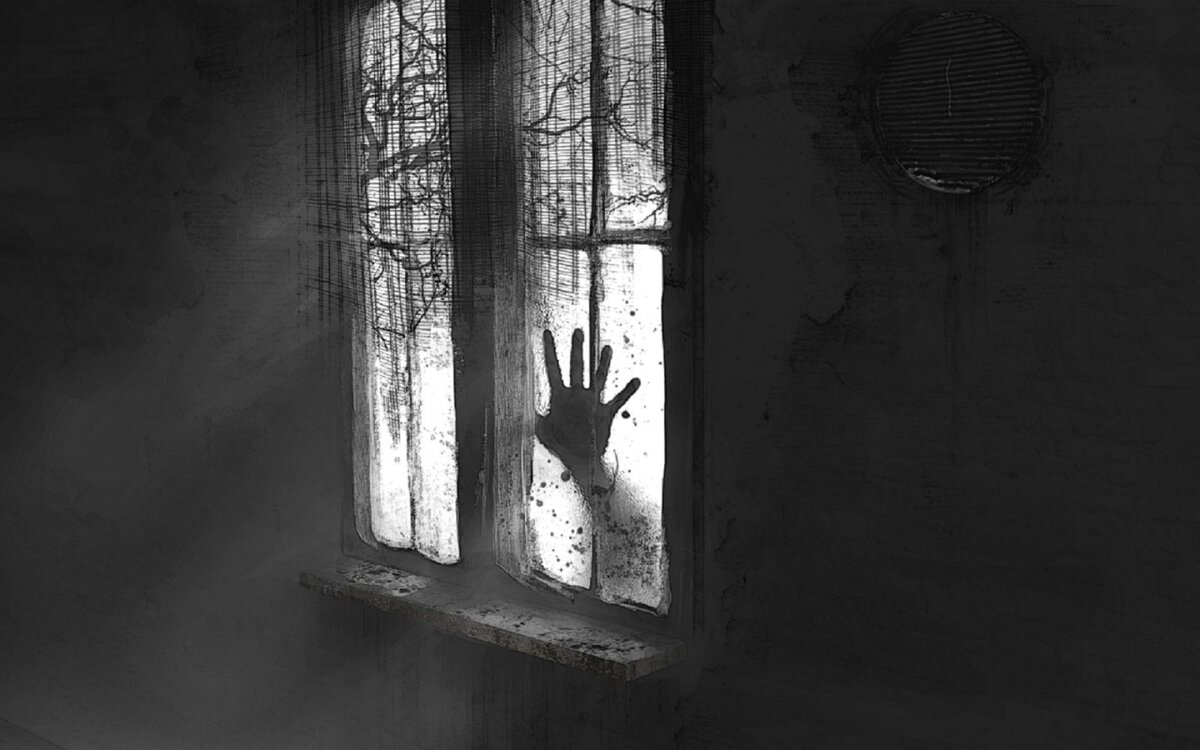 Фото из открытых источников