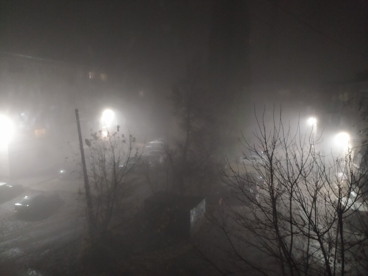 "Лошаааааадкаааааа......."-звучало в моей голове. Фото автора