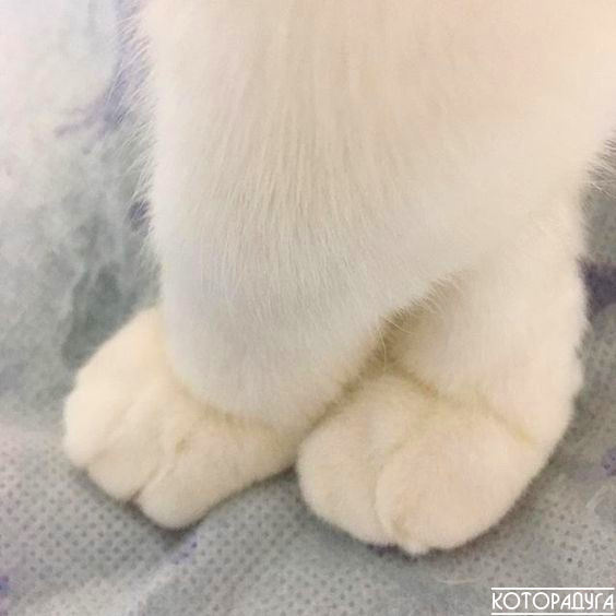 Источник: pinterest.com