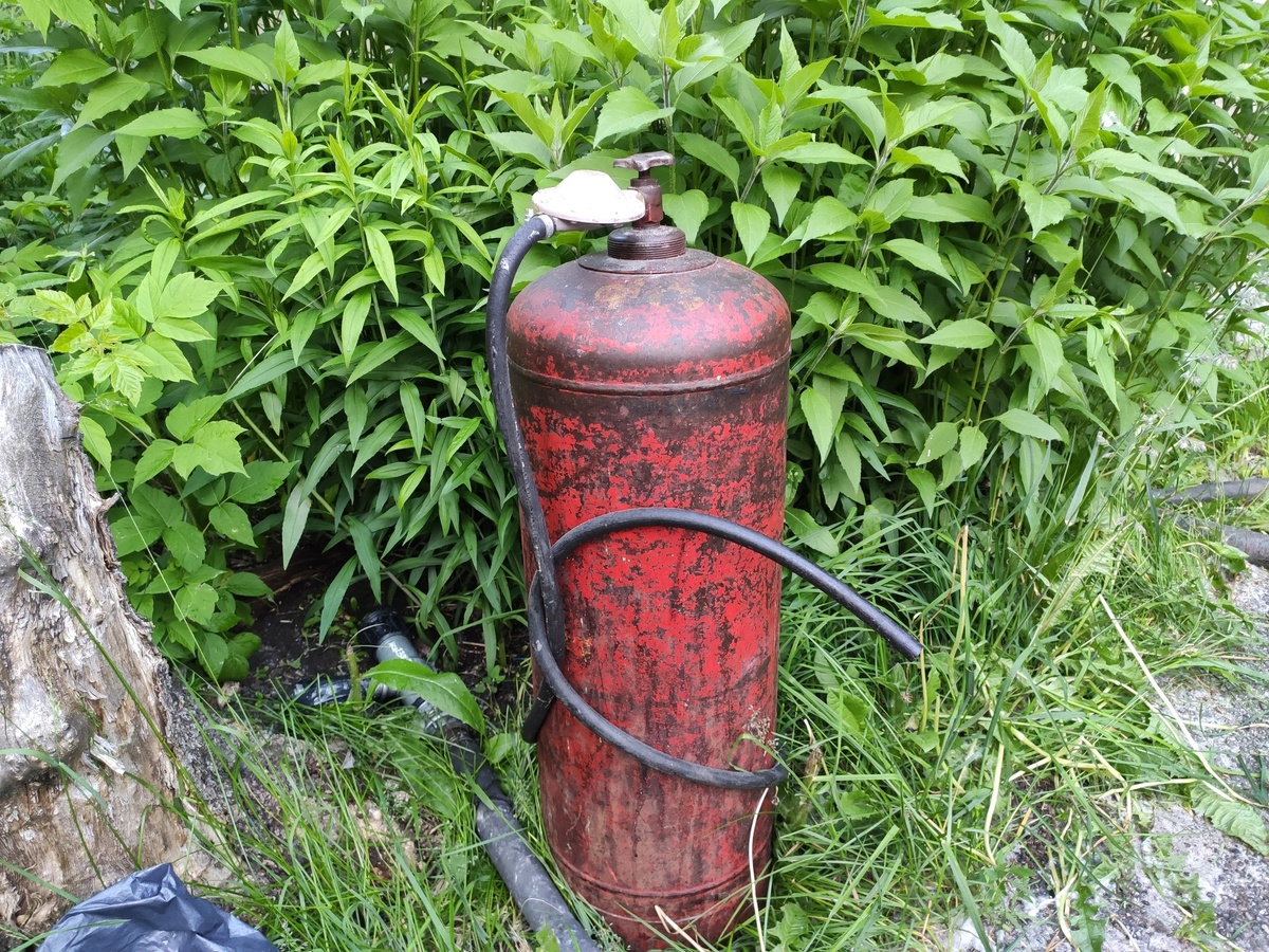 Изображение взято https://encrypted-tbn0.gstatic.com/images?q=tbn%3AANd9GcQ5ZUnF-uK2lUGs2xHTTbSKLWiEeciqCzT4iw&usqp=CAU