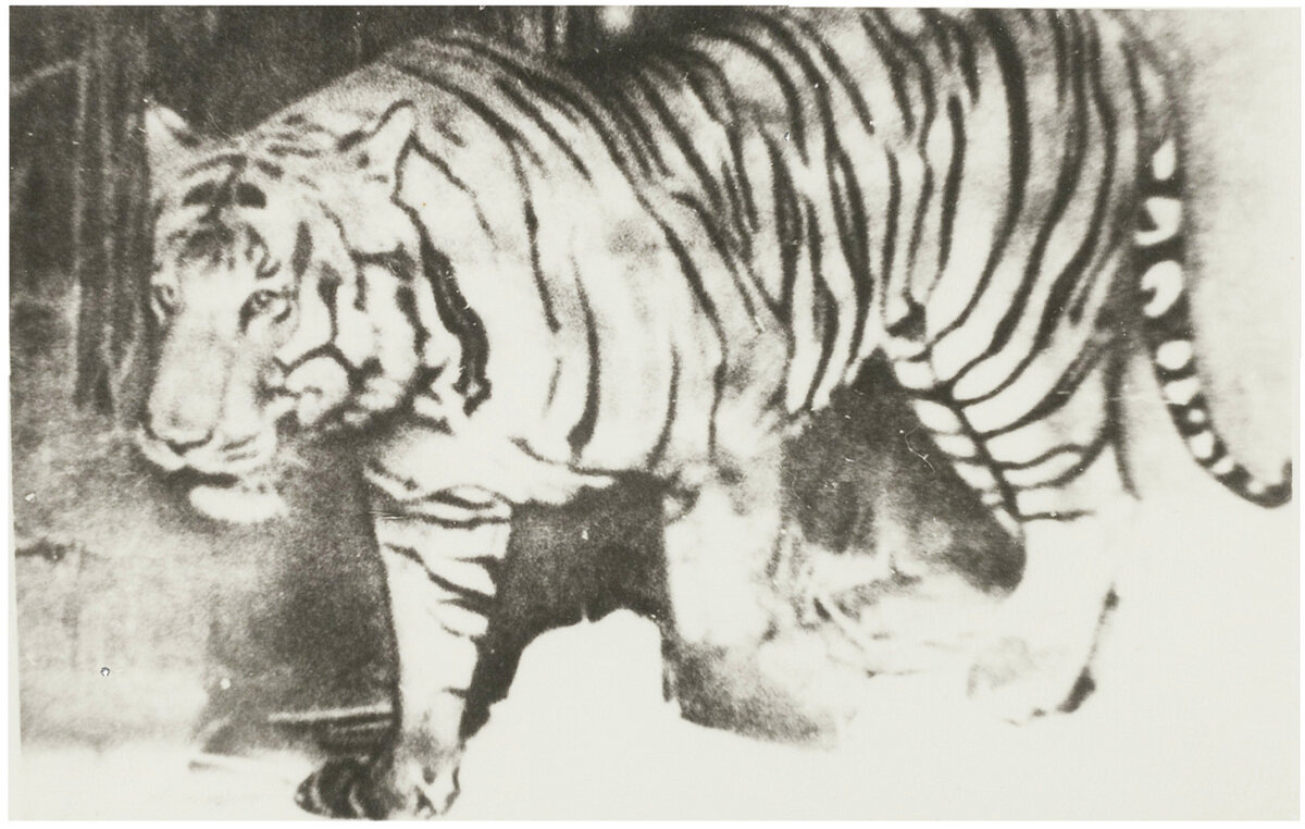 Взято с Яндекс Картинки