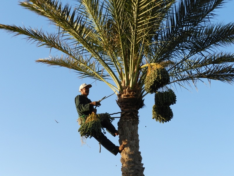 Тунис открывает границы для путешественников. Фото из личного архива автора.
