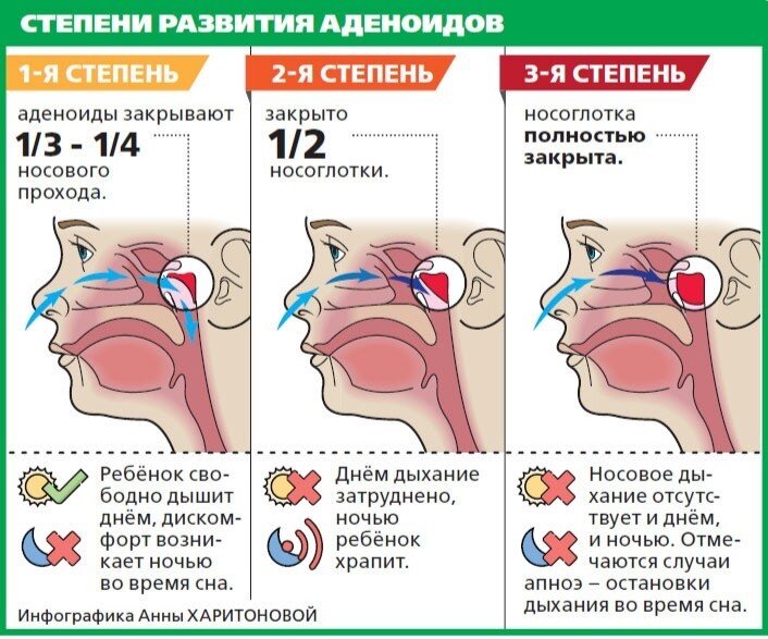 Яндекс. Картинки