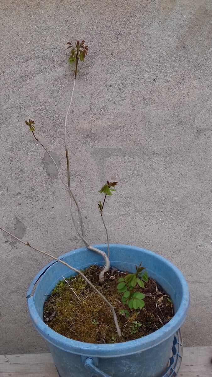 2 мая 2020 года