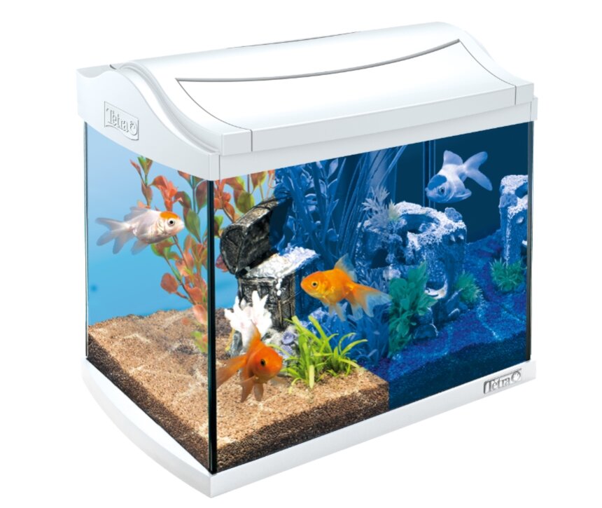 Tetra AquaArt LED Discover Line Goldfish