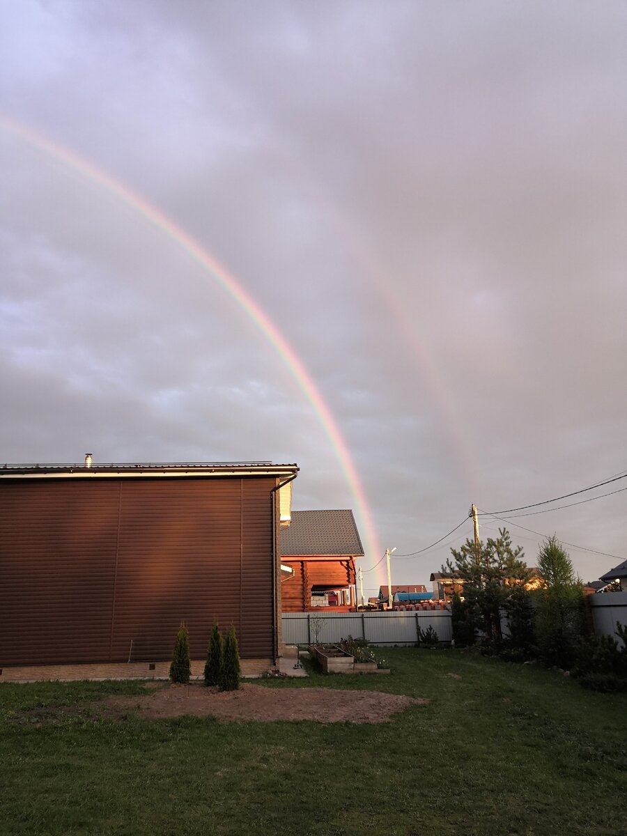 Фото из личного архива "Пандемийная весна"