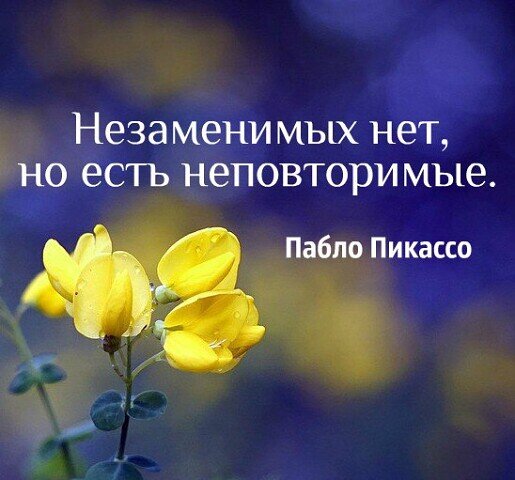 Из открытых источников сети Интернет.