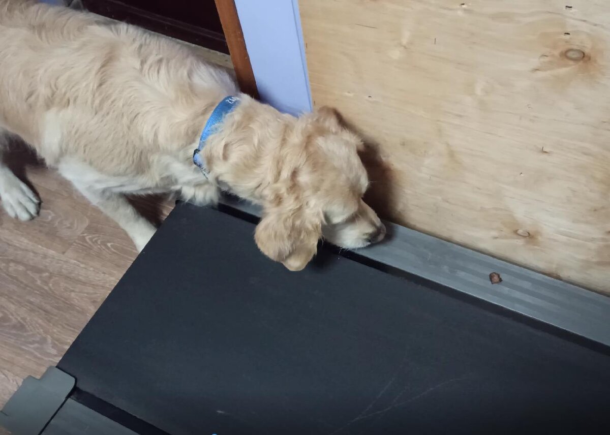 Куба подбирается к плюшке