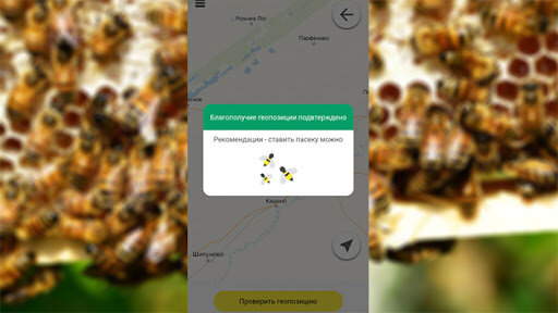 Приложения для пчеловодов regagro. Фото из открытых источников