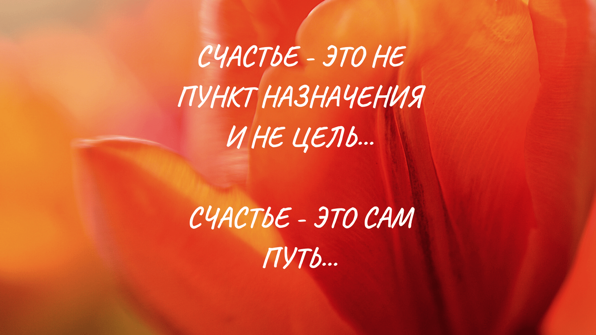 Коллаж автора, фото из коллекции Canva