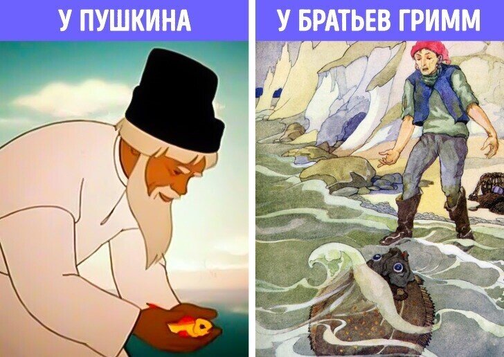 изображение взято из Яндекс.Картинки