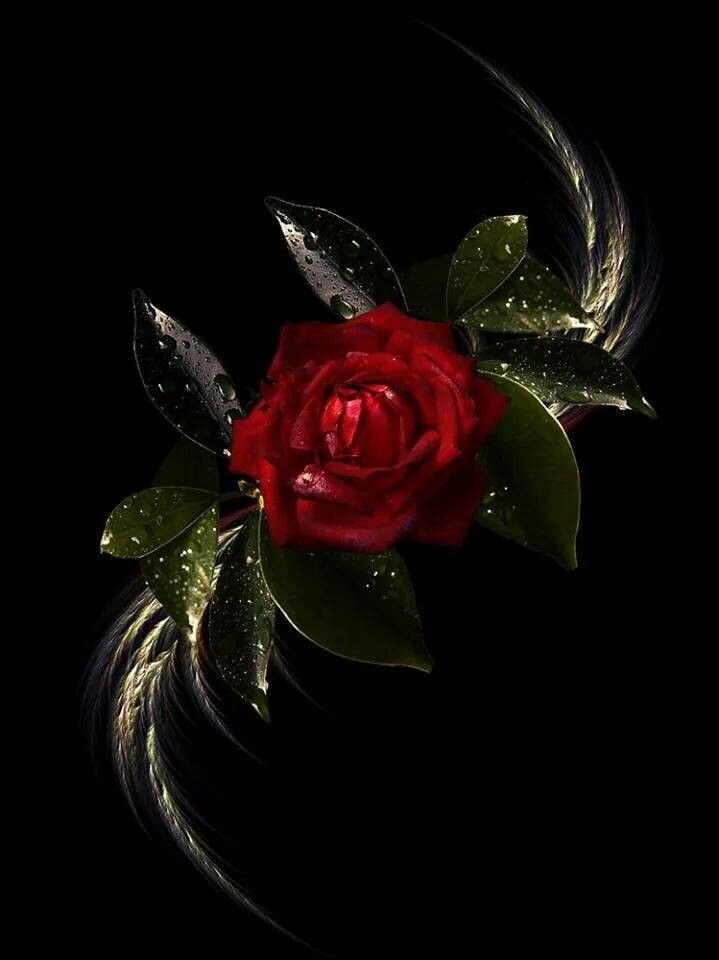  Фото из открытых источников