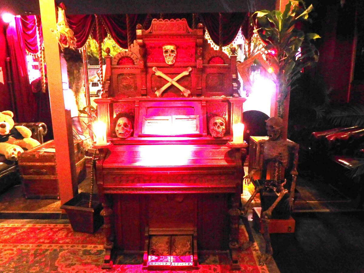 Фото автора.